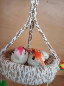 Bird Handmade Zhumbar For Showcase