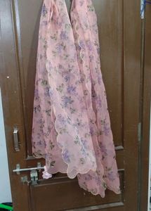 My Stunning Organza Dupattas At Your Service