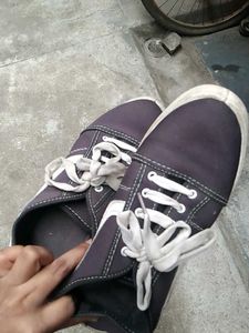 Stylish Canvas Sneakers