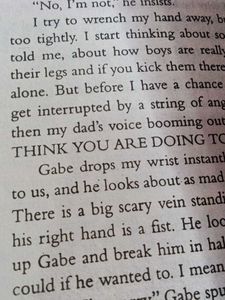 The Housemaid Series by Freida McFadden