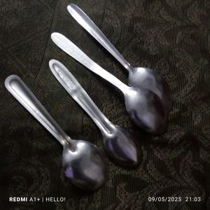 Stainless Steel Spoon