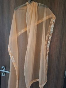 Shaurya Sanadhya Designer Ethnic Gown Bust 40 inch