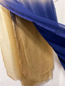Blue And Beige Dupatta