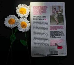 Novel