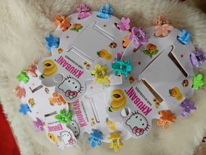 4Cute Hair Clips &amp; 1  clutcher