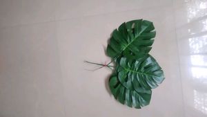 6 Monstera Fake Leaves