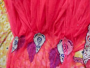 Beautiful Saree