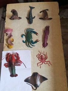 Sea Animals Imported High Quality Big Size
