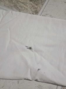 T Shirt Size L
