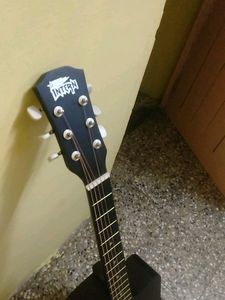 Acoustic Guitar