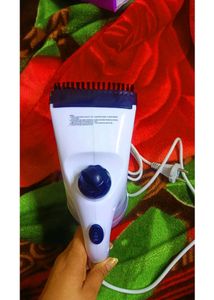 Handled Electric Iron &amp; Face Steamer 2 In 1
