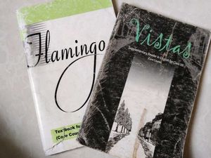 Vistas(Supplementary Reader) &amp; Flamingo -Class XII