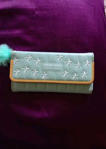 Mint Green Wallet/Clutch