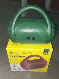 Zebronics County Speaker
