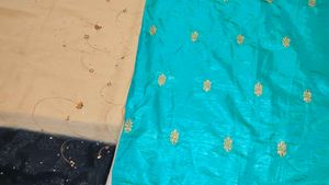 Elegant Saree