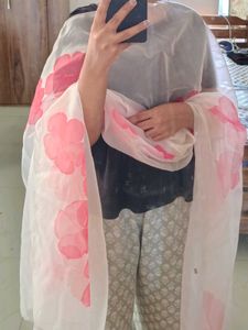 Baby Pink Organza Hand Painted Dupatta