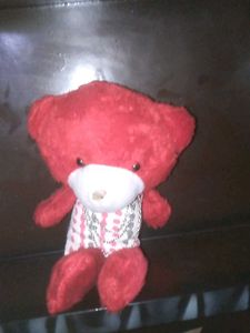 Red Teddy Bear