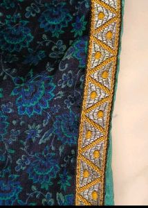 Beautiful Saree Without Blouse