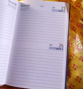 diaries