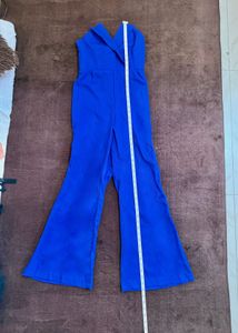 Shein Flare Leg Jumpsuit