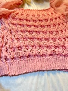 Pink Knit Top with Sheer Sleeves