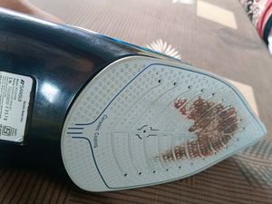 Sansui Steam Iron