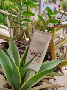 Glam 21 Illuminating Highlighter