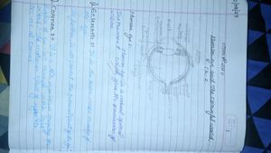 Class 10 Physics Notes