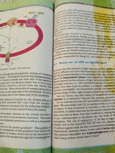 Biology Textbook XI