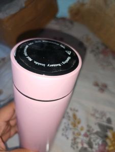 Insulated Bottle