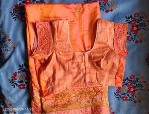 Peach Saree with Embroidered Blouse