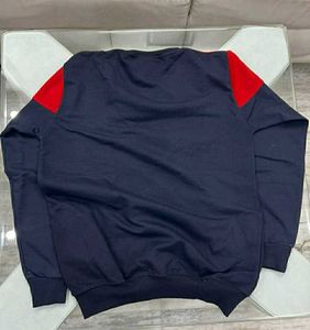 Champion Colorblock Sweatshirt