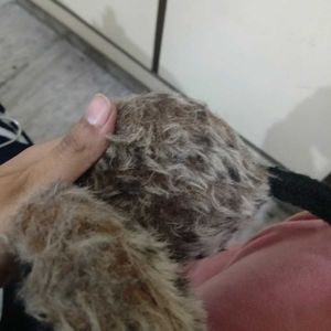 Fuzzy Earmuffs For Kids