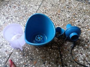 face steamer