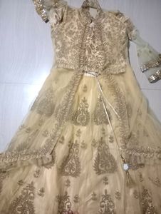 Elegant Gold Embroidered Lehenga Choli