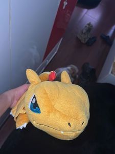Pokemon Soft Toy (from USA)