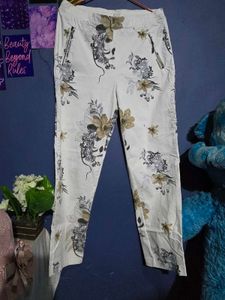 Pant