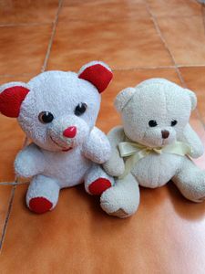 Cute Teddy Bear Duo