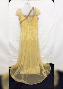 Golden Beautiful Zariwork Gown