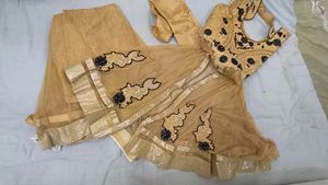 Ethnic gowns