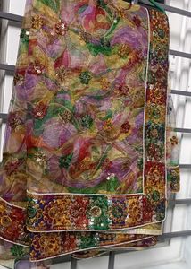 Beautiful multi color saree