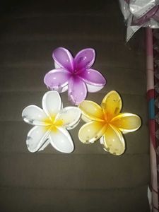 3 Pc  Flower Claw Clips