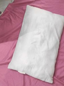 2 Pillow (Cushion?