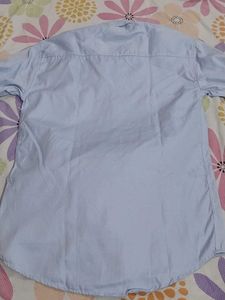 Mens Shirt