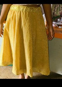 Elegant Gold Ethnic Skirt