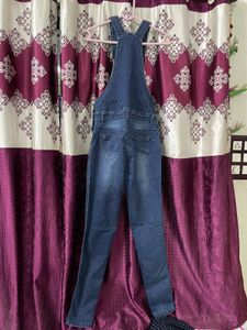 Cute Denim Overalls