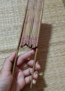 Vintage Fan ~ Collectible