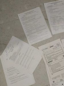 class 10 CBSE 2025 Sample Question Papers Total 17