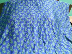 Blue Sari with Paisley Blouse