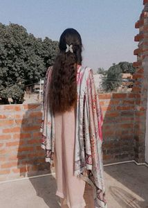Elegant Printed Shawl & Blush Outfit